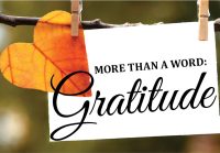 gratitude - feature